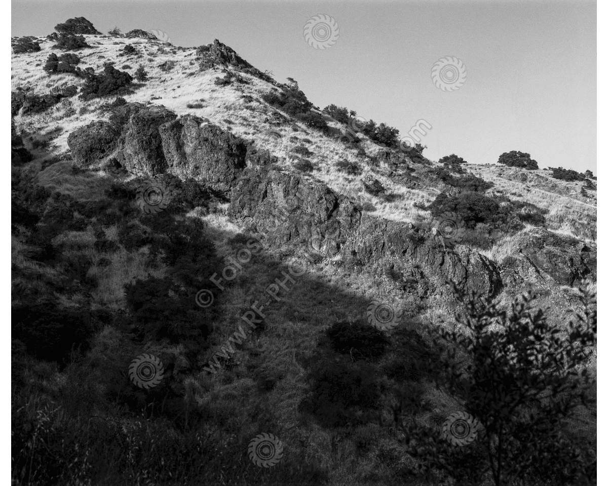 media/com_hikashop/upload/FS_C-O_SCI_1200pxWM-24.png