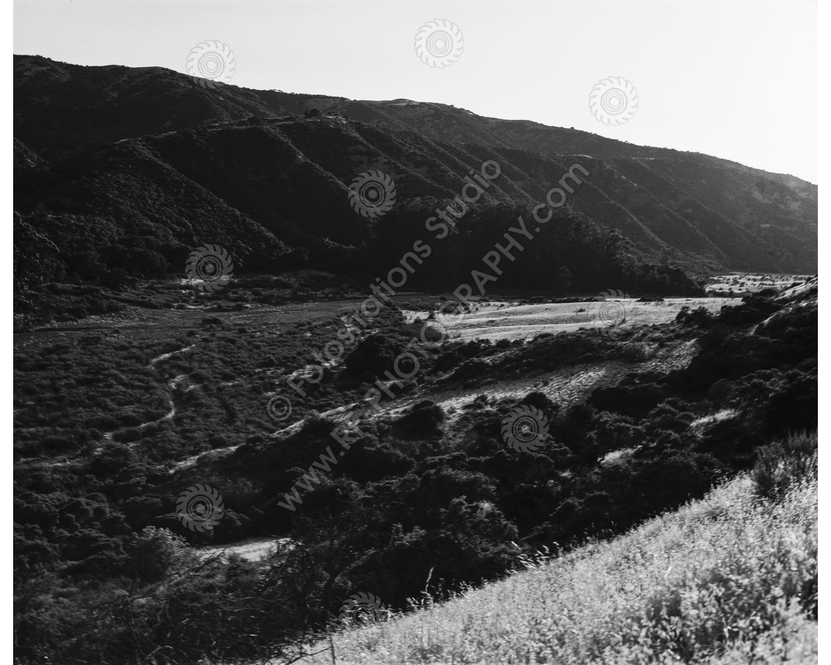 media/com_hikashop/upload/FS_C-O_SCI_1200pxWM-25.png