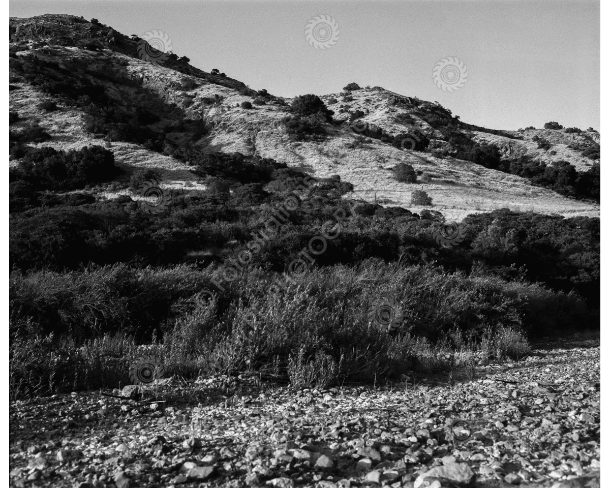 media/com_hikashop/upload/FS_C-O_SCI_1200pxWM-26.png