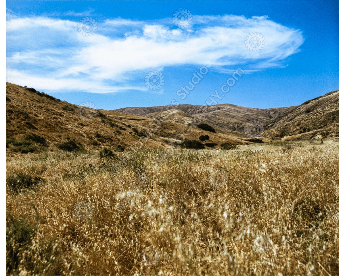 media/com_hikashop/upload/FS_C-O_SCI_1200pxWM-34.png