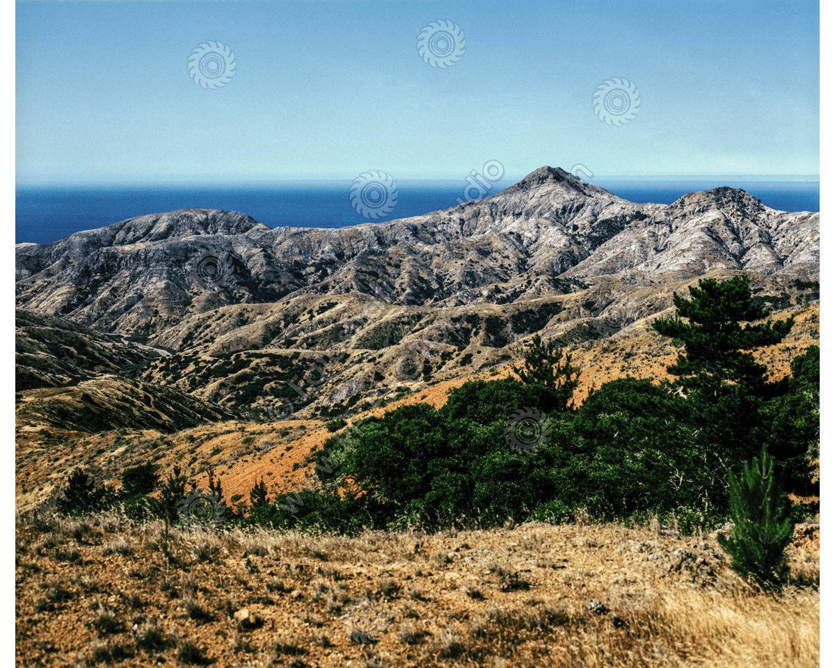 media/com_hikashop/upload/FS_C-O_SCI_1200pxWM-39.png