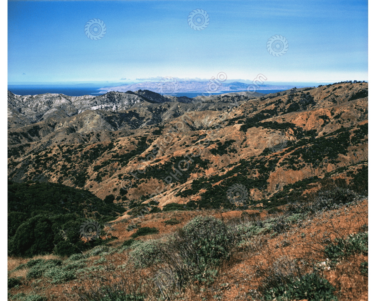 media/com_hikashop/upload/FS_C-O_SCI_1200pxWM-43.png