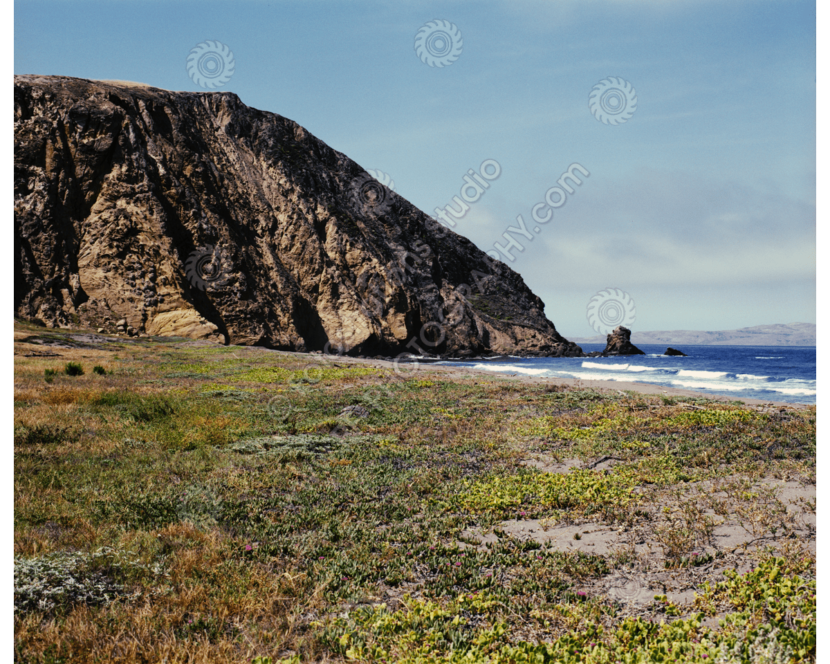media/com_hikashop/upload/FS_C-O_SCI_1200pxWM-46.png