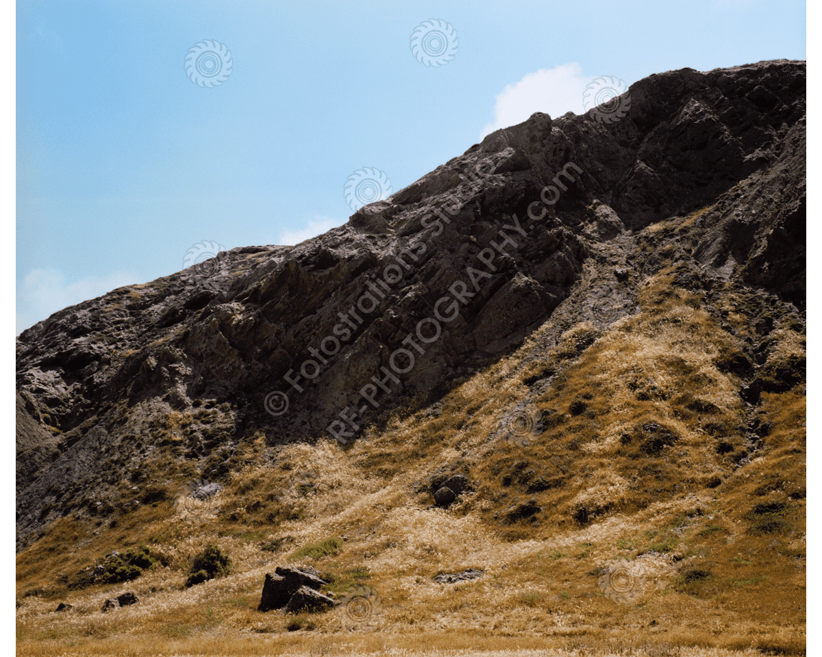 media/com_hikashop/upload/FS_C-O_SCI_1200pxWM-51.png