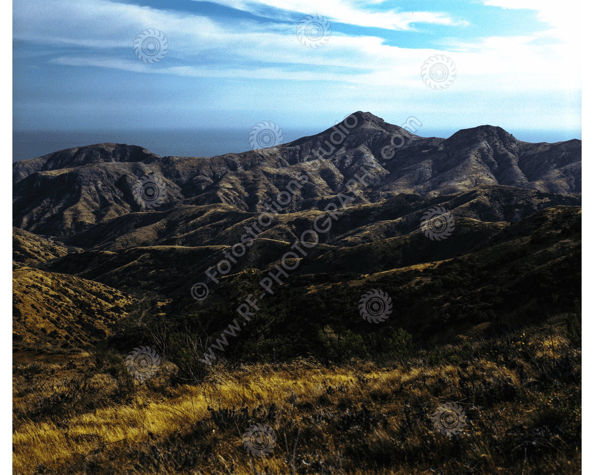 media/com_hikashop/upload/FS_C-O_SCI_1200pxWM-57.png
