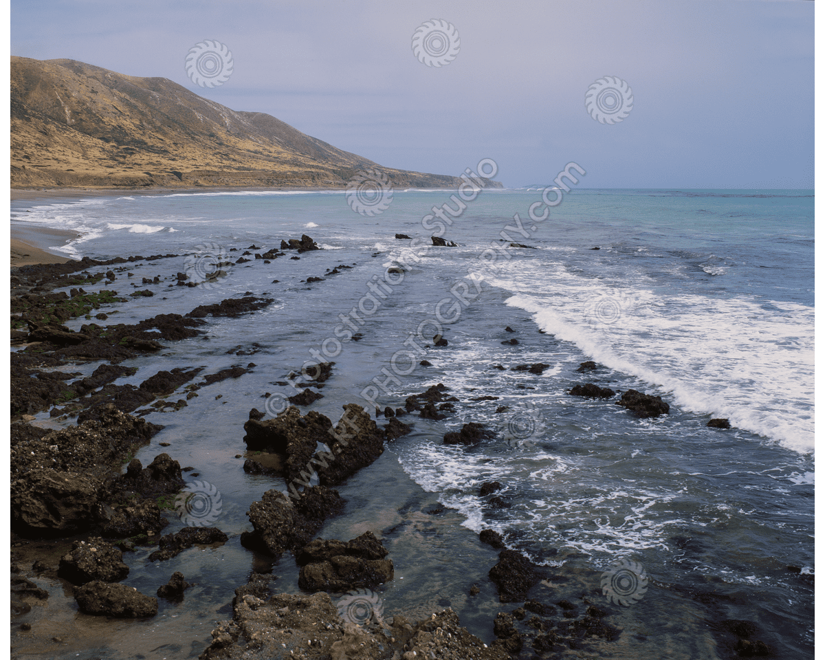media/com_hikashop/upload/FS_C-O_SCI_1200pxWM-64.png