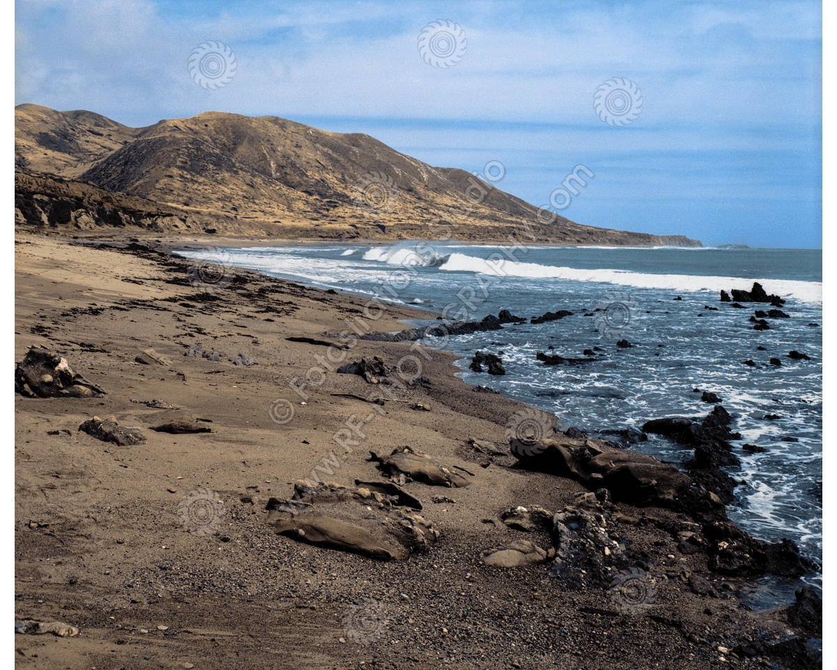 media/com_hikashop/upload/FS_C-O_SCI_1200pxWM-69.png