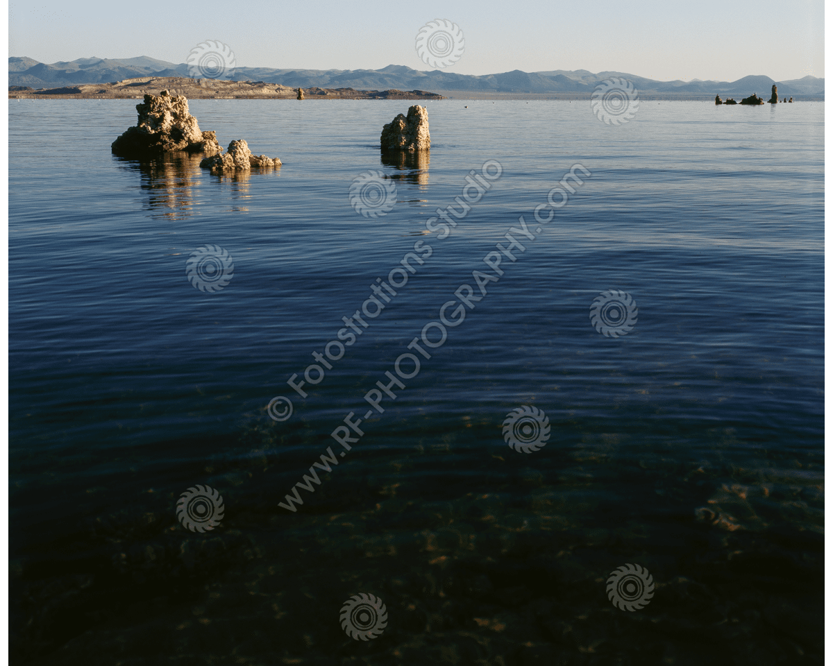 media/com_hikashop/upload/fs_c-w_ml_1200pxwm-5.png