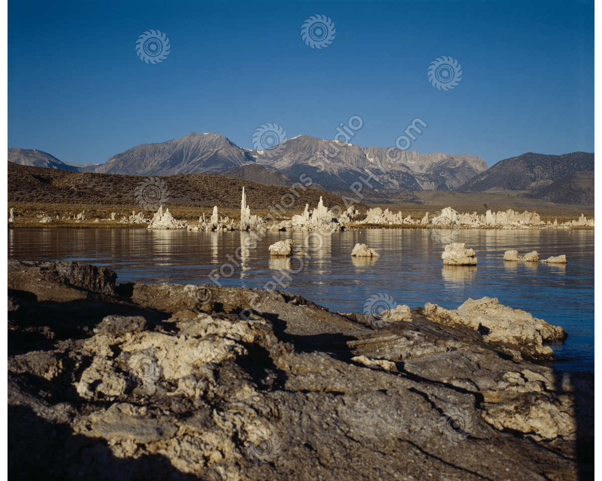 media/com_hikashop/upload/fs_c-w_ml_1200pxwm-6.png