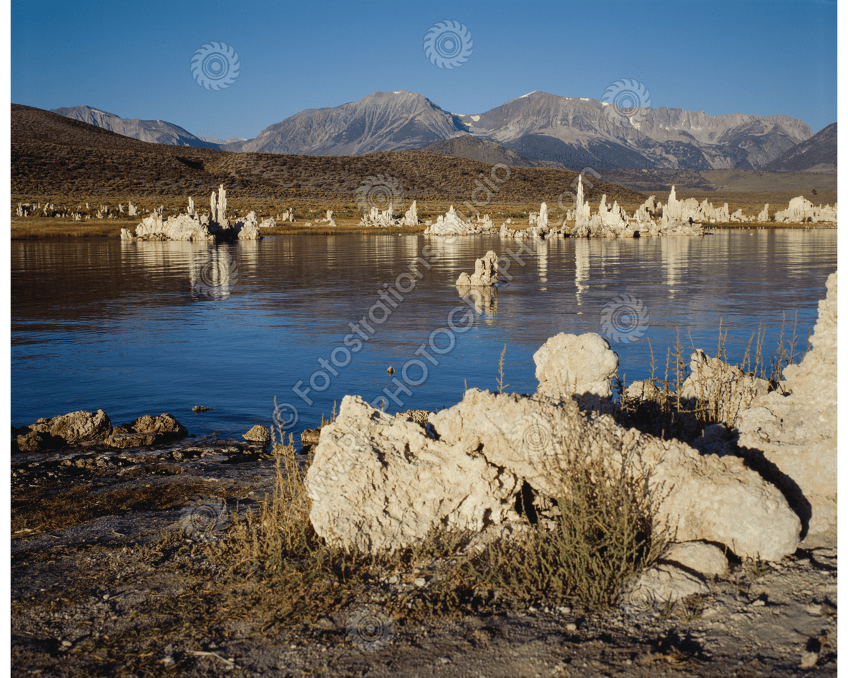 media/com_hikashop/upload/fs_c-w_ml_1200pxwm-7.png