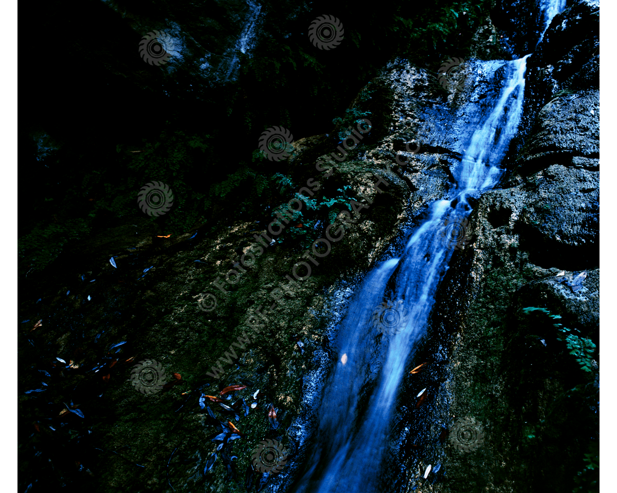 media/com_hikashop/upload/fs_c-w_sac_1200wm-15.png