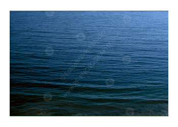 fs_c-o_rt_1200pxwm-03