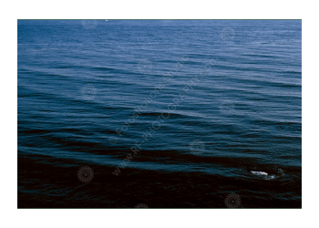 fs_c-o_rt_1200pxwm-04