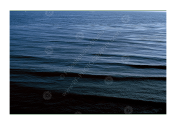 fs_c-o_rt_1200pxwm-05