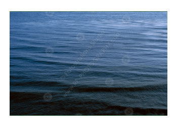 fs_c-o_rt_1200pxwm-06