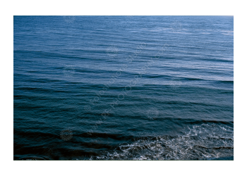 fs_c-o_rt_1200pxwm-09