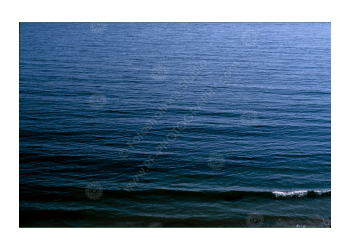 fs_c-o_rt_1200pxwm-10