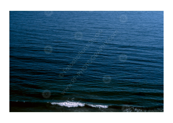 fs_c-o_rt_1200pxwm-11