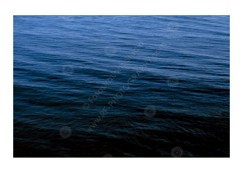 fs_c-o_rt_1200pxwm-12