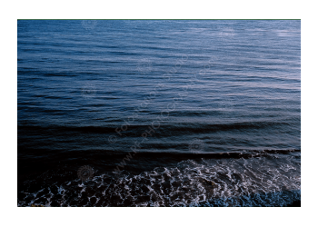 fs_c-o_rt_1200pxwm-13
