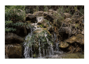 fs_c-w_mc_1200pxwm-6
