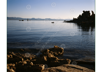 fs_c-w_ml_1200pxwm-1