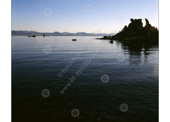 fs_c-w_ml_1200pxwm-3