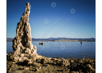 fs_c-w_ml_1200pxwm-8