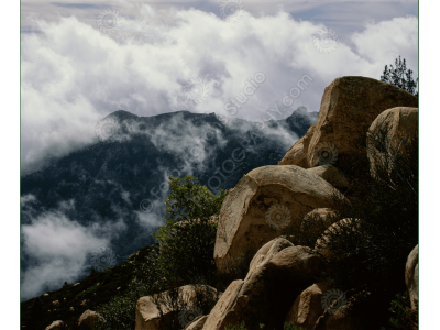 fs_c-m_sym_1200wm-12