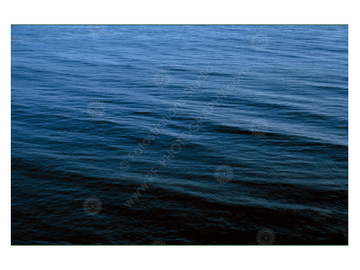 fs_c-o_rt_1200pxwm-08