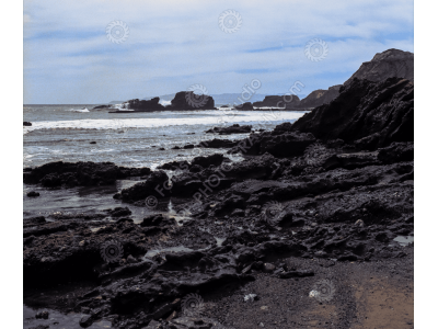 fs_c-o_sci_1200pxwm-70