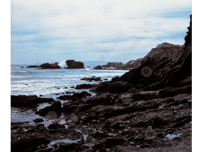 fs_c-o_sci_1200pxwm-71