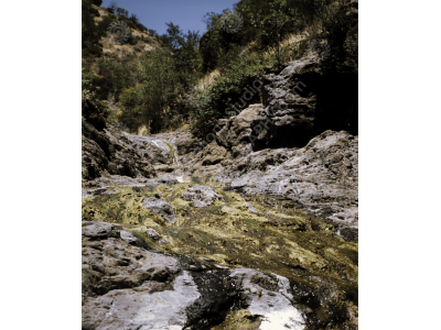 fs_c-o_sci_1200pxwm-85