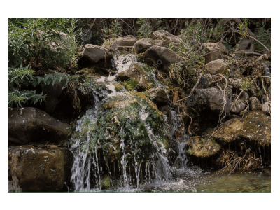 fs_c-w_mc_1200pxwm-6