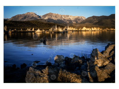 fs_c-w_ml_1200pxwm-14