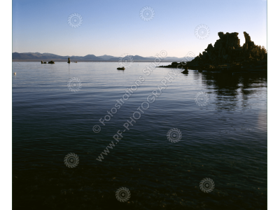 fs_c-w_ml_1200pxwm-3