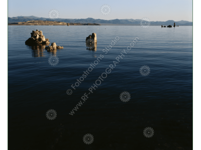 fs_c-w_ml_1200pxwm-4