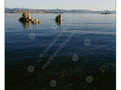fs_c-w_ml_1200pxwm-5