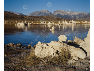 fs_c-w_ml_1200pxwm-7