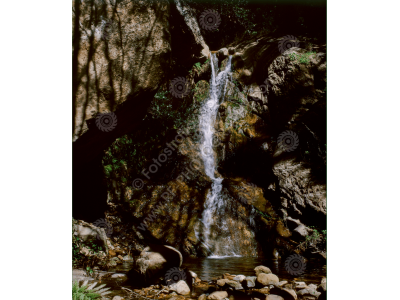 fs_c-w_sac_1200wm-6