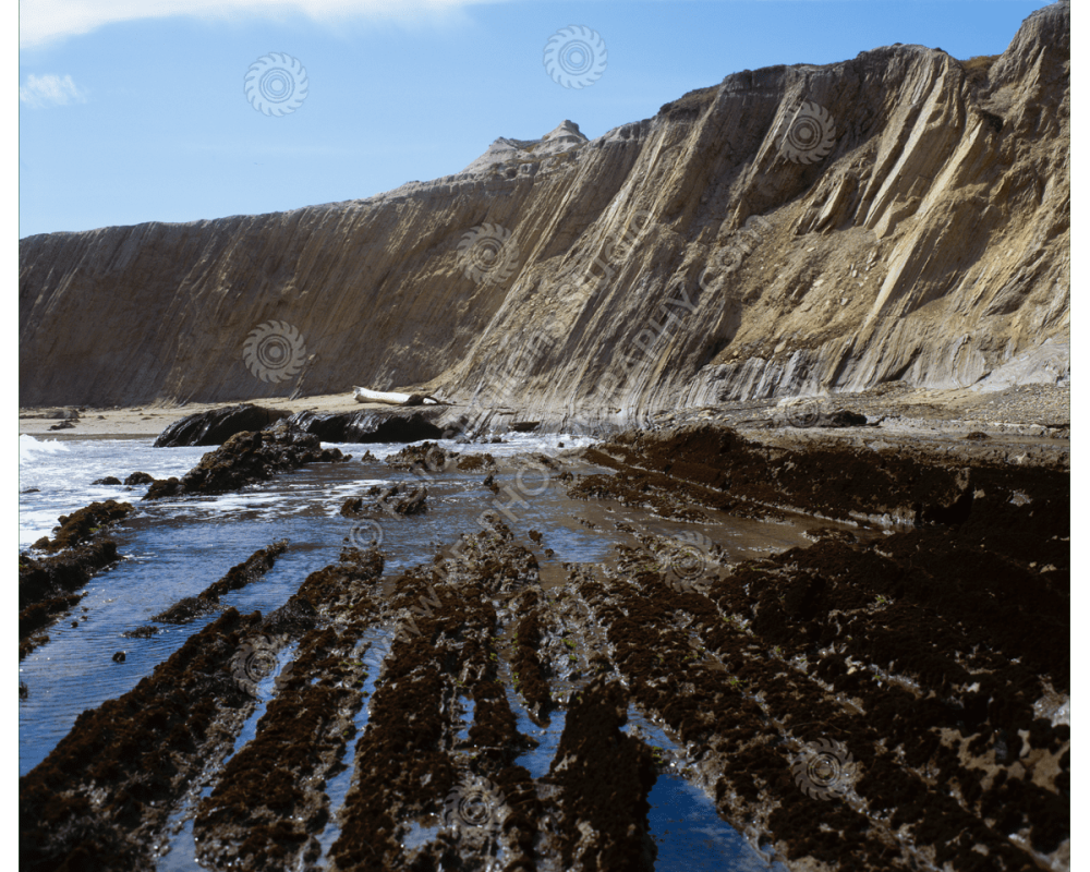 fs_c-o_sci_1200pxwm-78